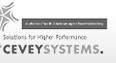 Cevey Consulting & Coaching