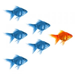 Leadership Training